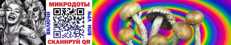 Псилоцибиновые грибы Cubensis  Хвалынск 